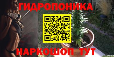 ECSTASY Ярославль